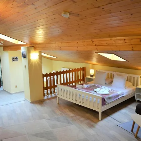 Pod Vodarenskou Vezi Apartment *