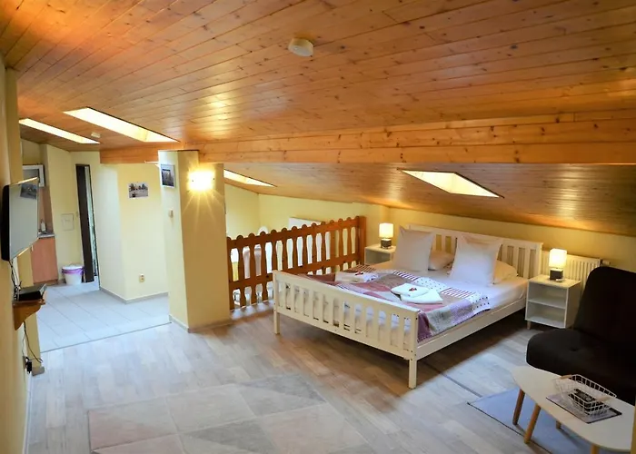 Pod Vodárenskou Věží Apartamento *